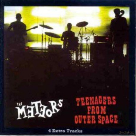 The Meteors: Teenagers From Outerspace [Winyl]
