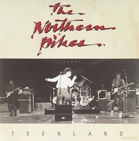 The Northern Pikes: Teenland/the Things I [Winyl]