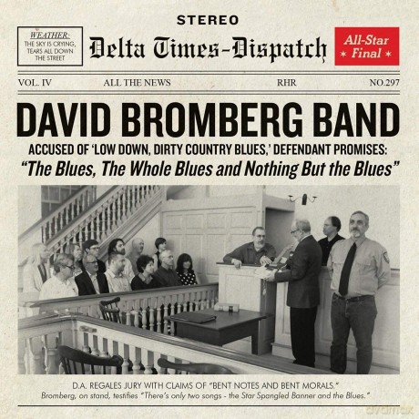David Bromberg Band: The Blues, The Whole And [Winyl]
