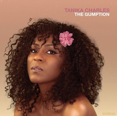 Tanika Charles: The Gumption [Winyl]