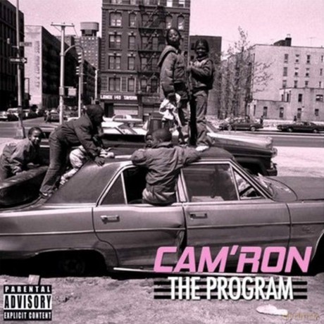 Cam'Ron: The Program [Winyl]