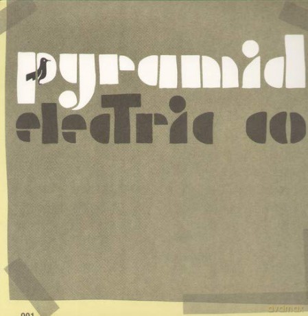Jason Molina: The Pyramid Electric Company: + Code for Digital Download [2xWinyl]