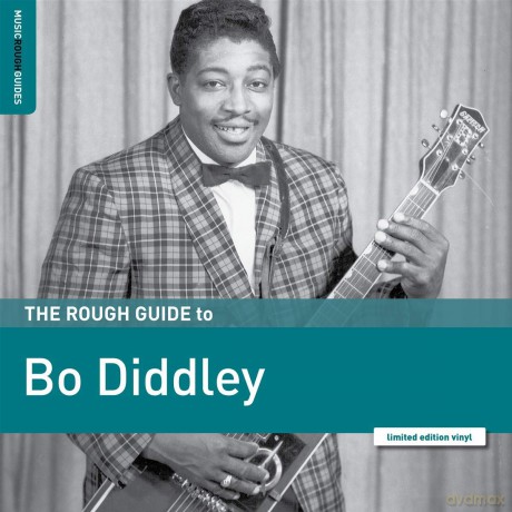 Bo Diddley: The Rough Guide To Bo Diddley [Winyl]
