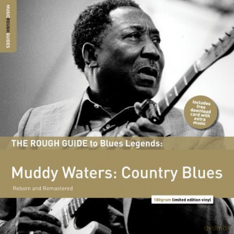 Muddy Waters: The Rough Guide to Muddy Waters: Country Blues [Winyl]
