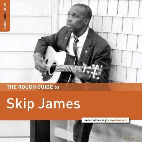 Skip James: The Rough Guide To Skip James [Winyl]