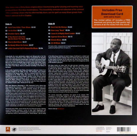 Skip James: The Rough Guide To Skip James [Winyl]
