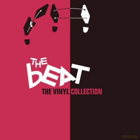 The Beat: The Collection [4xWinyl]