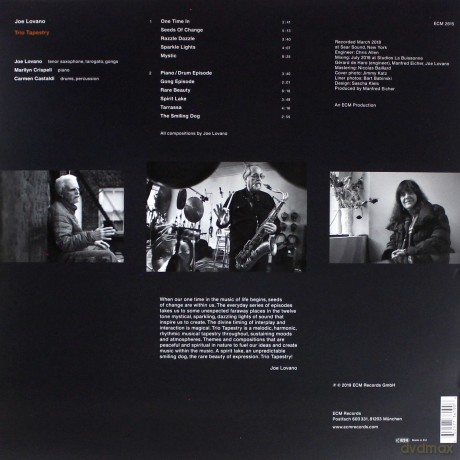 Joe Lovano: The Young Big Bill Broonzy - 180 [Winyl]