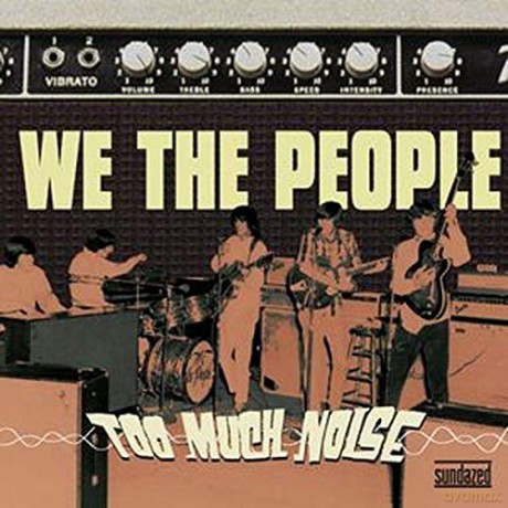 We the People: Too Much Noise [Winyl]