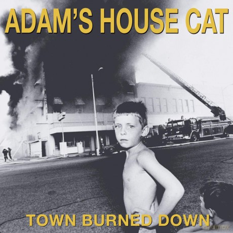 Adam's House Cat: Town Burned Down [Winyl]