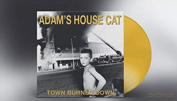 Adam's House Cat: Town Burned Down [Winyl]