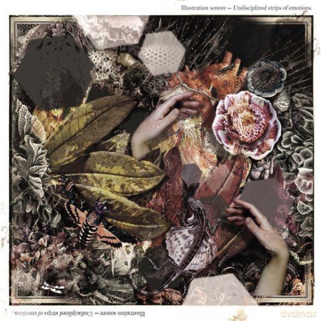 Illustration Sonore: Undisciplined Strips Of Emotio [Winyl]