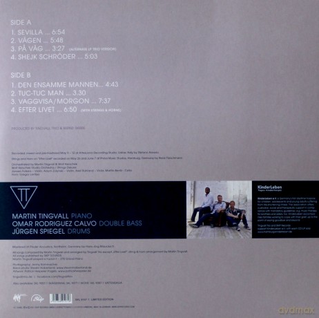 Tingvall Trio: Vagen [Winyl]