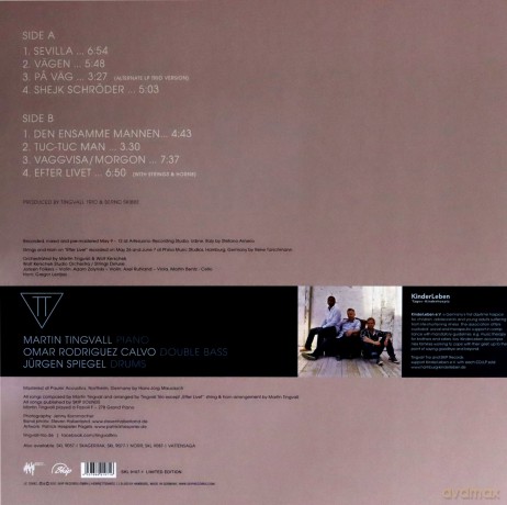Tingvall Trio: Vagen [Winyl]