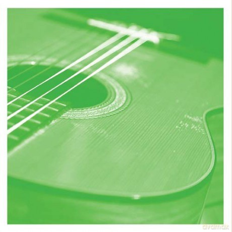 Tashi Dorji: Vdsq Solo Acoustic Vol 13 [Winyl]