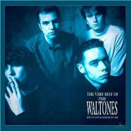 The Waltones: Very Best Of The Waltones [Winyl]