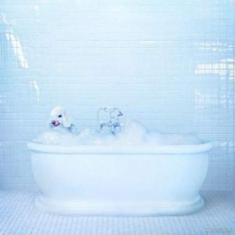 Frankie Cosmos: Vessel [Winyl]