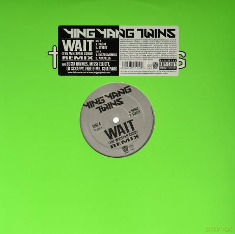 Ying Yang Twins: Wait [Winyl]