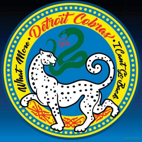 Detroit Cobras: What More Can I Do [Winyl]
