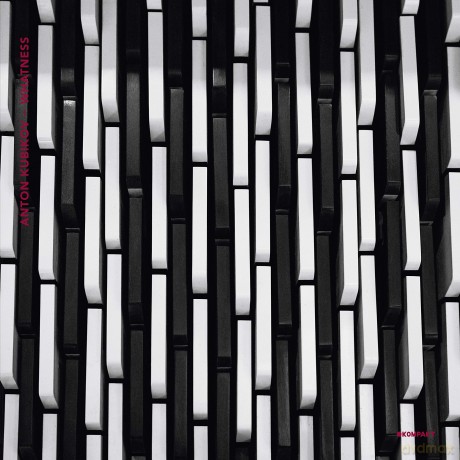 Anton Kubikov: Whatness [Winyl]