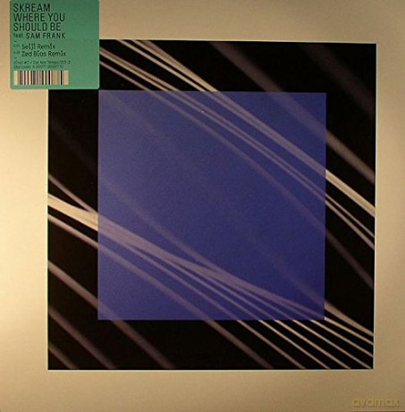 Skream: Where You Should Be Feat Sam Frank [Winyl]