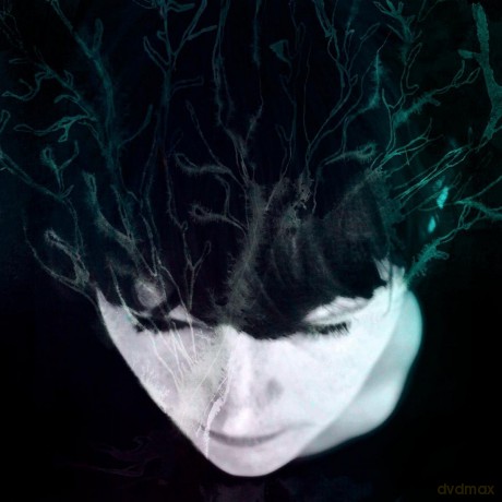 Hanne Kolsto: While We Still Have Light [Winyl]
