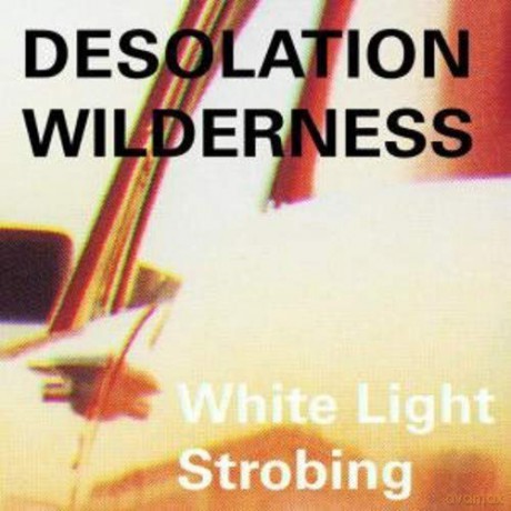 Desolation Wilderness: White Light Strobing [Winyl]