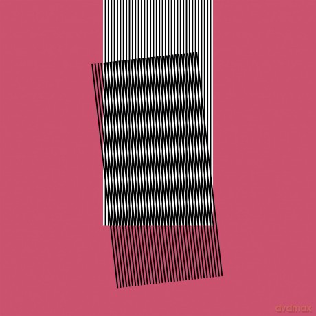 Hot Chip: Why Make Sense? [Winyl]