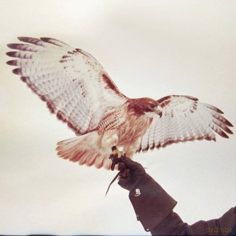 Jm Airis: Wild Birds [Winyl]
