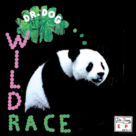 Dr Dog: Wild Race [Winyl]