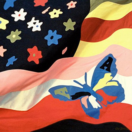 Avalanches: Wildflower [Winyl]