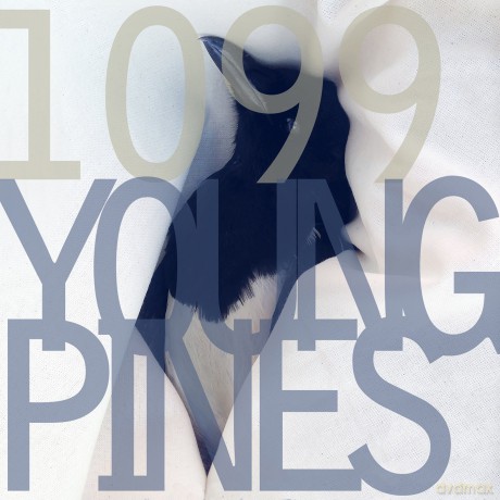 1099: Young Pines [Winyl]