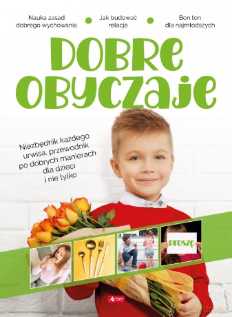 Dobre obyczaje [KSIĄŻKA]