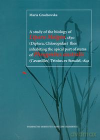 A study of the biology of Lipara Meigen 1830 flies inhabiting the apical part of stems of Phragmites australis Trinius ex Steudel 1841 - Maria Grochowska [KSIĄŻKA]