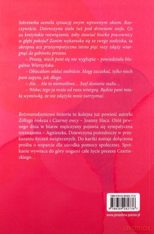 Bożonarodzeniowa historia - Joanna Hacz [KSIĄŻKA]