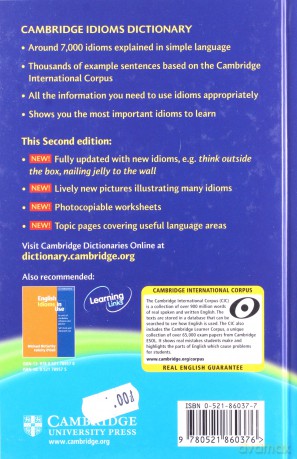 Cambridge Idioms Dictionary [KSIĄŻKA]