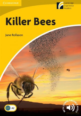 Killer Bees - Jane Rollason [KSIĄŻKA]