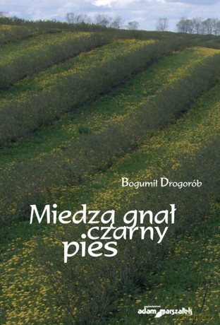Miedzą gnał czarny pies - Bogumił Drogorób [KSIĄŻKA]