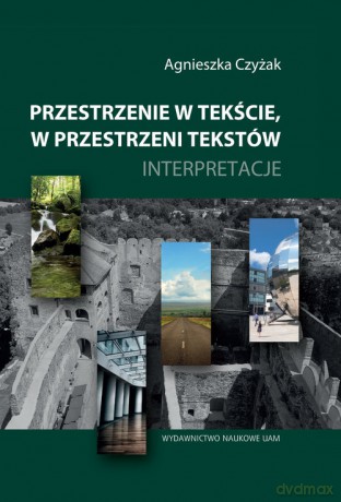 Przestrzenie w tekście, w przestrzeni tekstów - Agnieszka Czyżak [KSIĄŻKA]