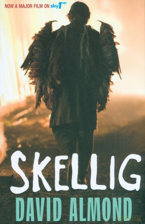 Skellig - David Almond [KSIĄŻKA]