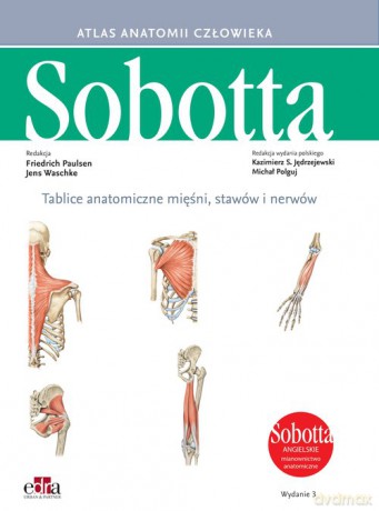 Tablice anatomiczne mięśni, stawów i nerwów. Angielskie mianownictwo [KSIĄŻKA]