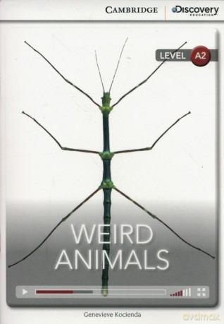 Weird animals [KSIĄŻKA]
