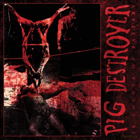Pig Destroyer: 38 Counts of Battery [Winyl]