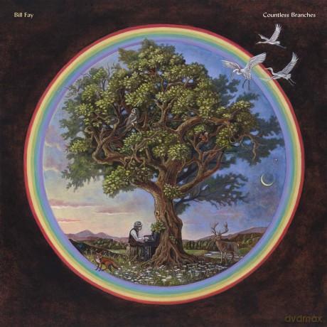 Billy Fay: Countless Branches [Winyl]