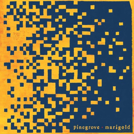 Pinegrove: Marigold (Limited) (Yellow) [Winyl]