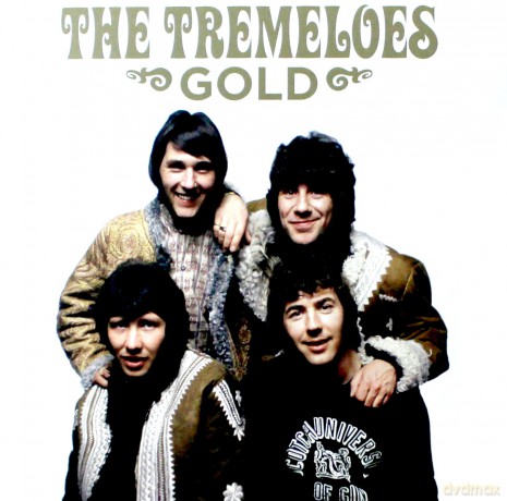 Tremeloes: Gold [Winyl]