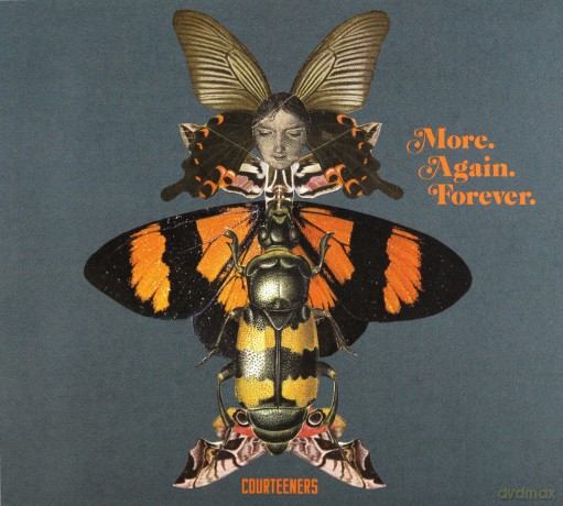 Courteeners: More Again Forever (digipack) [CD]