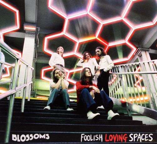 Blossoms: Foolish Loving Spaces [CD]