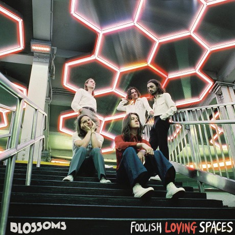 Blossoms: Foolish Loving Spaces [Winyl]