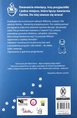Karma. Odważne i romantyczne - Malwina Chojnacka [KSIĄŻKA]